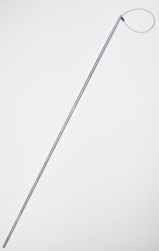 Florida Lobster Mini Season 2026: Dates, Rules & What Gear You Need